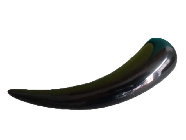 Gua Sha Massives Horn - Doc Save - ppw - winter