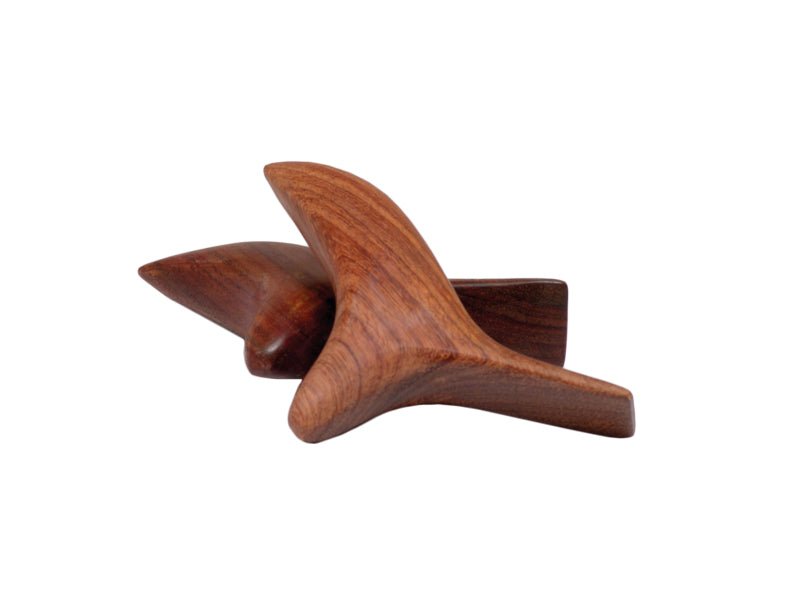 Massagebirdy - Cosimed - ppw - winter