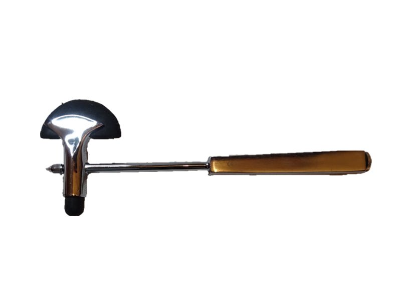 Reflexhammer nach Fassbender mit Nadel und Pinsel - AUAS Instruments - ppw - winter
